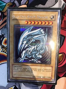 Quel est le prix d'un Dragon Blanc aux yeux bleus ? Jusqu'à 30 000€ ?