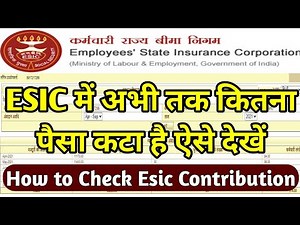 How to Check Esic Contribution | ESIC Contribution Statment Download करें Online