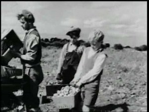 British WW2 Public Information Films - Collection Two Part 3 of 3