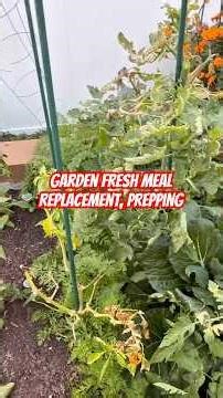 Smoothie meal Prepping #diy #food #experiment #nature #garden #yum #fyp #amanita #holistic #health