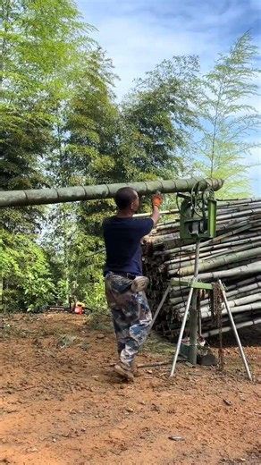 🎍🎋 ​a greate bamboo lifting machine