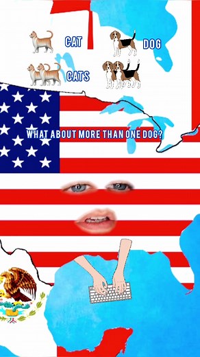 Mastering Animal Plurals in English: A Hilarious Lesson