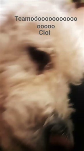 7 de febrero de 2026