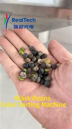Black Beans Optical Sorting Machine#machine #factory