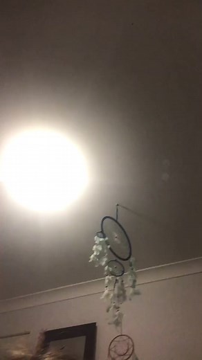 Emily Edwards on TikTok