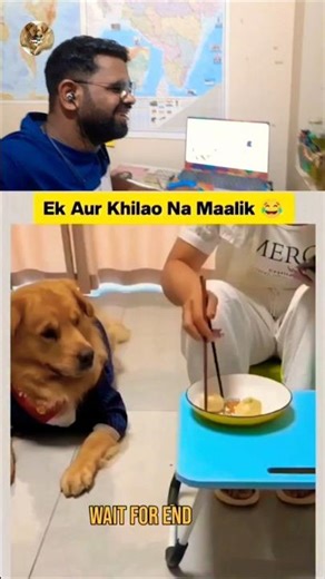 Ek Aur Khilao Malik Maza Nahi Aaya 😂😂 #shorts #funny #ytshorts #trending #viral #pets #memes #new