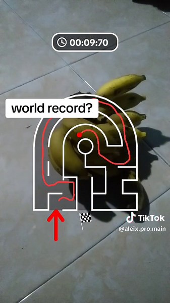 Aleix pro Main (@aleix.pro.main)’s videos with original sound - Video Kov