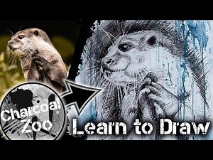 How to Draw a Realistic Otter – Step-by-Step Charcoal Art Tutorial