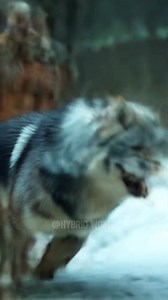 artificia intelligence human animal hybrid fusion.#ai #aiart #animalfusion #hybrid #animals #human #midjourneyart #midjourney #artificialintelligence | Neural Story Lab