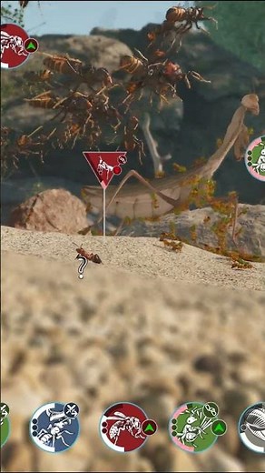 Le Combat des Insectes les plus Puissants 🐜