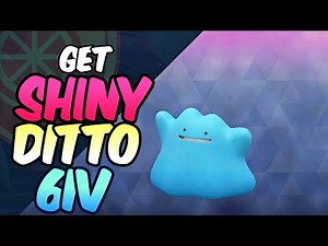 Get LEGIT 6IV Shiny Ditto from Auto Raids in Pokemon Scarlet Violet