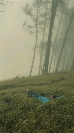 Bellwood Kandy location: misty vibes and relaxation