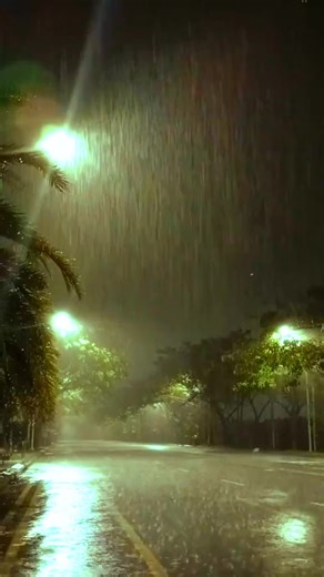 Bloodborne (@digitalbloodborne)’s videos with How Could You Leave Us - NF