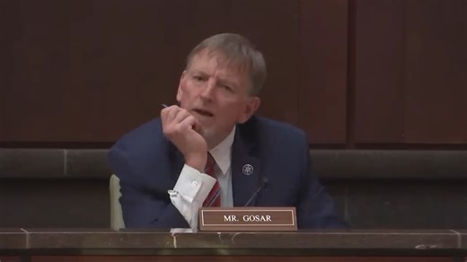 'You Will Be Held Accountable': GOP Rep. Paul Gosar Embarrasses Himself In Failed Attempt To Threaten Democratic Governors During Hearing