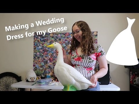 Making A Wedding Dress for My Goose