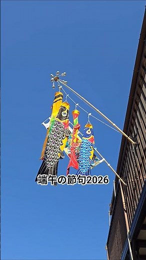 こどもの日👶こいのぼりの日🎏端午の節句〜2026〜 #鯉のぼり #carp_streamer #端午の節句