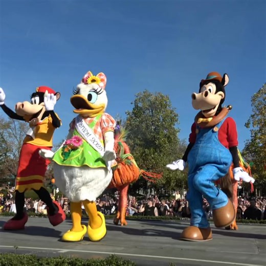 #disneyhalloween Daisy Duck performs with Clarabelle and Horace in Mickey’s Halloween Celebration at Disneyland Paris. It feels like Daisy has been practicing all year for her performances! Mickey’s Halloween Celebration is both a parade and show stop and we always recommend both. #disneylandparis #dlp #dlrp #disneyparade #daisyduck #daisy #horacehorsecollar #disneyshow #disneycharacters #clarabelle #disneyhalloween | Mousesteps