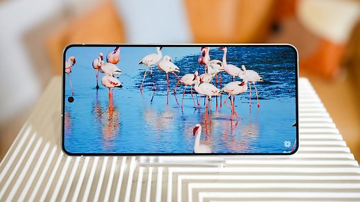 How to download YouTube videos for free - 2 easy and reliable methods I always use