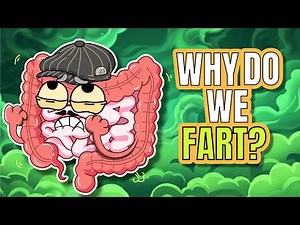 Why Do We Fart?