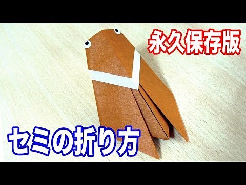 【永久保存版】セミ（蝉）の折り方、折り紙