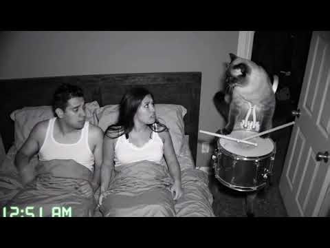 Cat Kicks Open Door at 3AM 🥁 CCTV Drum Prank While Owners Sleep