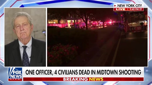 John Kennedy: We don't need more gun control, we need more 'idiot control' | Sean Hannity