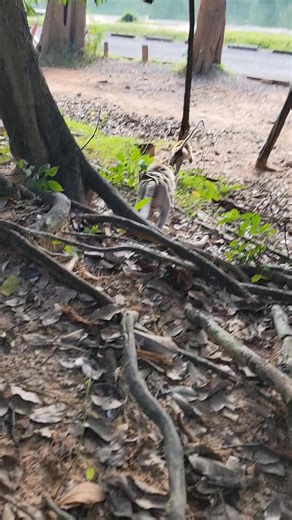 Massage fingers for Gracie baby monkey 🐒 | Hand Products