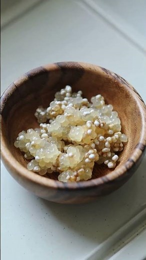 What is Water Kefir? #kombucha #kefir #waterkefir #fermenteddrinks #science #how #didyouknow