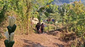 AVO SIKU FOHO LETEN ..... Avo siku nee Laos Ema kualker nebe Ami ba hasoru Aliende Nia Ema Timor Avo siku hanesan primu Primeiru grau husi Amo Bispo Dom Ricardo Amu Bispo Nia Pai Mak Maun No Avo Siku Nia Pai Mak Alin Maske nunee Avo siku Moris Mesak los iha foho tutun nebe as baliza entre Ailoklaran no Suku Dare Moris iha kondisaun difisiente No Mesak los Avo Siku merese Ita ajuda Liu Tan ? Favor husik Hela komentariu 🙏🏿💪🏿 .. #riosoares88official @highlight | Januario Soares