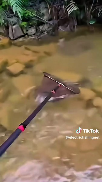 Innovative Electric Fishing Devices for Enthusiasts