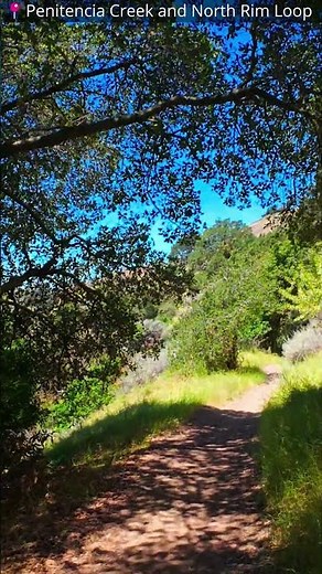 Penitencia Creek & North Rim Loop Trail 🌿 4K Nature Walk Short | Bay Ambient Walks