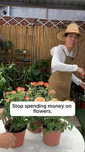 69K views · 736 reactions | #gardening #gardentools #gardeningtools #tool #tools #gardeningmakemehappy #handtools #cooltools #satisfying | Pro Gardening | Facebook