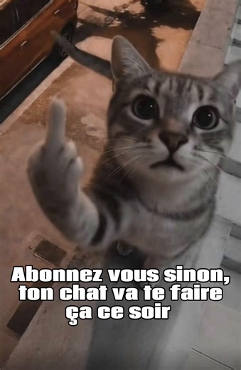 #fyp#humour#newcreator#pourtoi