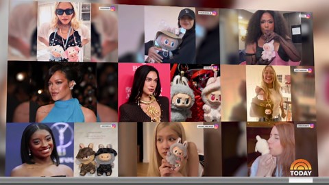 What Is a Labubu Doll? Inside the Toys Taking the World by Storm