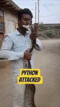 ANACONDA vs GIANT PYTHON In Water #python #survival #shorts