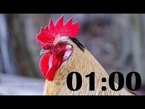 1 Minute Timer for School - Rooster Alarm Sound