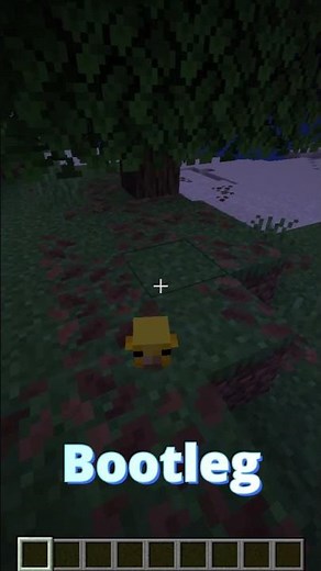 Baby Chickens Did Not Exist