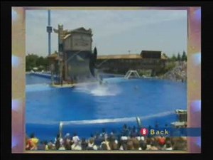 Old SeaWorld Footage Shamu Stadium High Jump