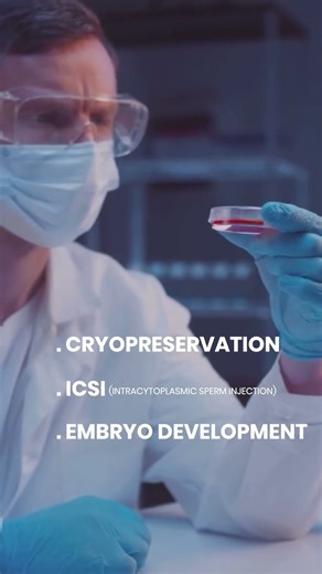 Clinical Embryology: Your High-Demand Career After a Life Science Degree