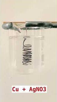 Cu + AgNO3 | Đồng tác dụng với dung dịch Bạc nitrat