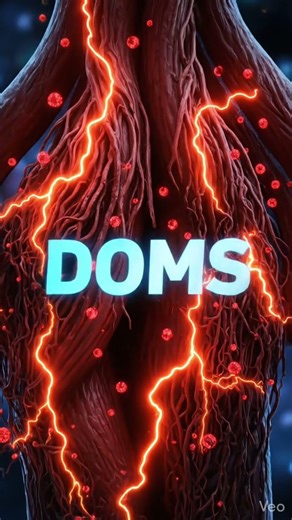 Why Your Muscles Hurt After Working Out