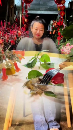 Authentic Chinese Cuisine Cooking for Spring Festival Celebration