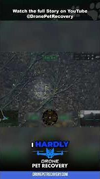 Night Drone Mission: Unveiling Wildlife Secrets with Thermal Imaging!
