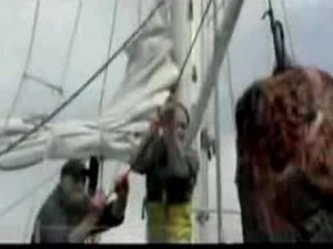 Jaws 5 Resurfaced Trailer