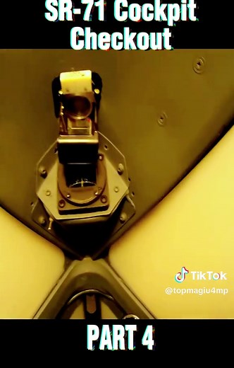 Airplane Walkaround: Exploring the Magic of Flight