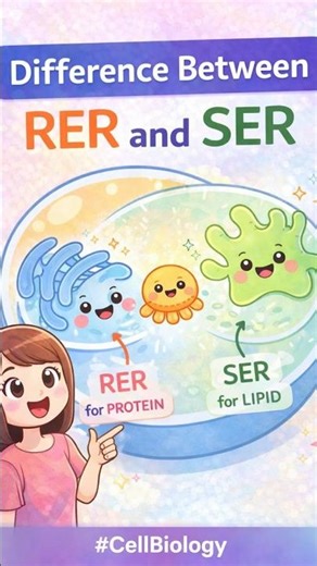 Difference Between RER and SER 🔬 | Cell Biology Made Easy #RERVsSER#Cellbiology#Biologyshorts#Boards