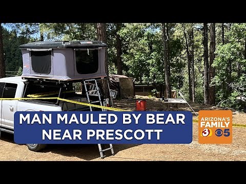 Tucson man killed in unprovoked bear attack near Prescott