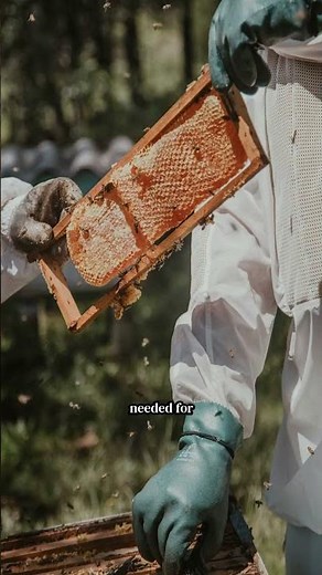 Apiculture best practices