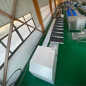 [Hot Item] Ai Fruit Classifying Machine by Size/Color/Brix for Premium Fruit Brands