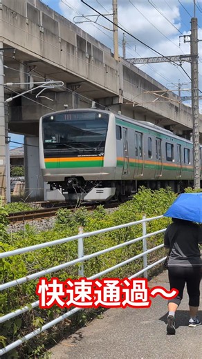 湘南新宿ライン.横須賀線直通の快速列車が小山〜間々田間を通過〜